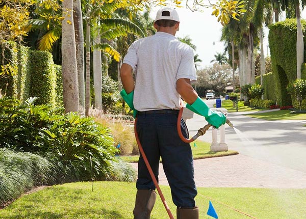 About Clearwater SC Pest Control Pros